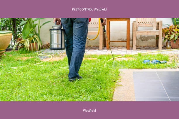 PEST CONTROL Westfield